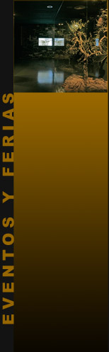 Eventos y Ferias